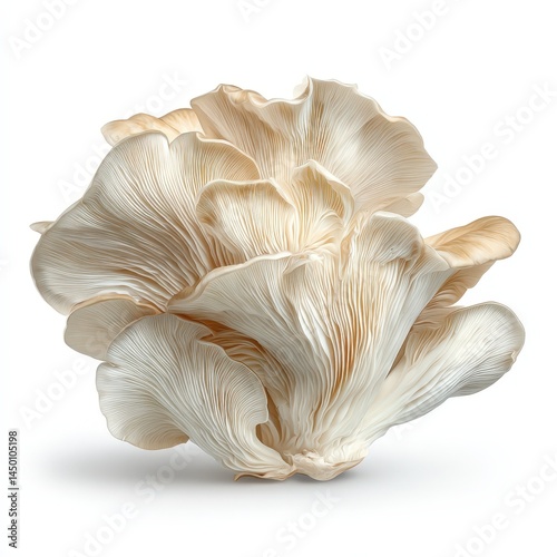 Fresh Oyster Mushrooms Close up Studio Shot of Delicate Creamy White Fungi Perfect for Culinary Health or Nature Themes