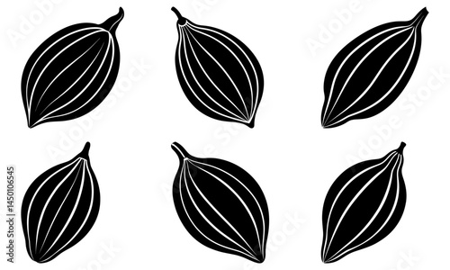 Cardamom silhouette vector