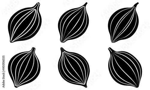 Cardamom silhouette vector