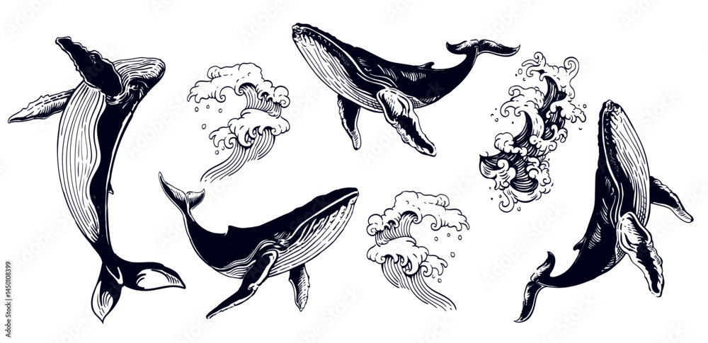 Hand-drawn Whale and Ocean Wave Set — Vintage Marine Vector Illustrations in Engraving Style