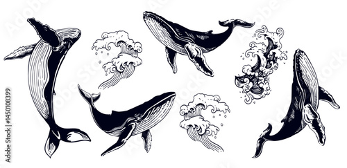 Hand-drawn Whale and Ocean Wave Set — Vintage Marine Vector Illustrations in Engraving Style