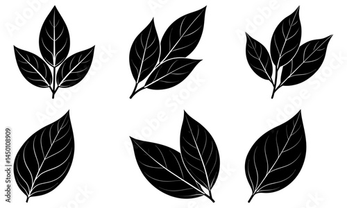 Bay Leaf silhouette vector