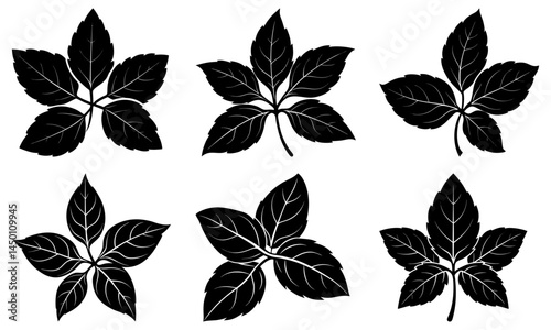 Basil silhouette vector