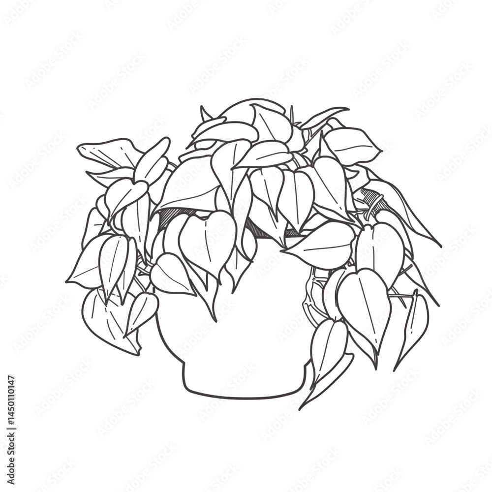 Obraz premium Heartleaf Philodendron Line Art in Pot - Elegant Minimalist Botanical Illustration for Wall Decor and Design
