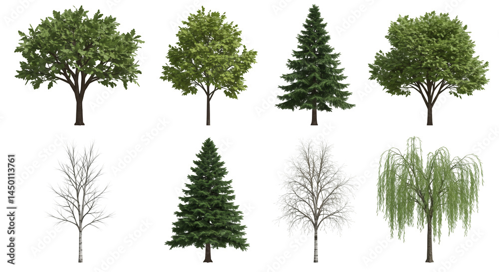 Assorted Trees Isolated on Transparent Background Diverse Green Foliage and Winter Bare Branches Botanical Variety for Landscaping Assorted Trees Isolated on Transparent Background Diverse Green Foliage and Winter Bare Branches Botanical Variety for Landscaping