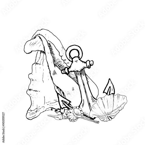 Anchor next to a large oceanic clam shell and pearl oyster, black and white ink sketch. Marine vector illustration. Shells from the bottom of the underwater world, isolated on a white background.
