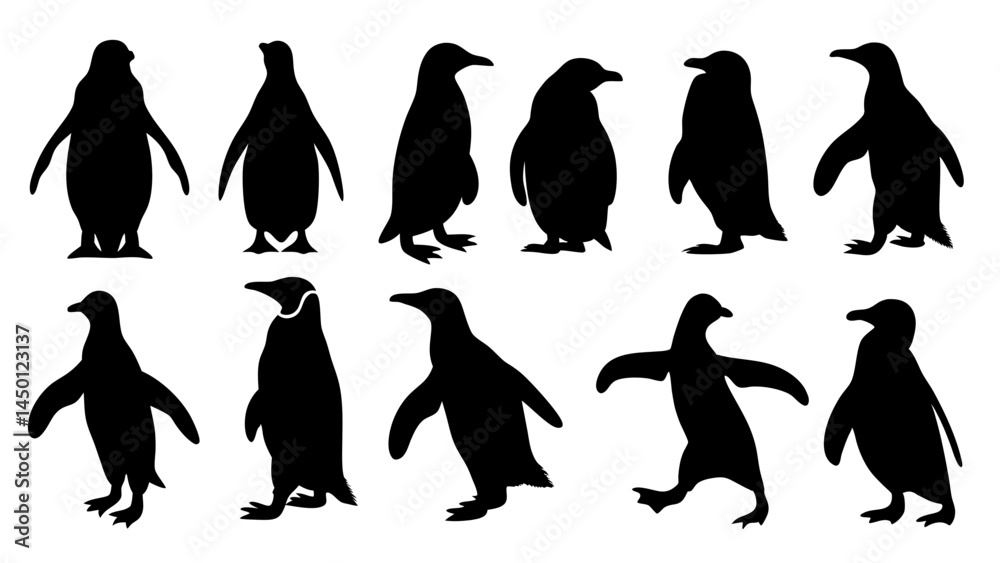 Obraz premium set of penguin silhouette vector on white background