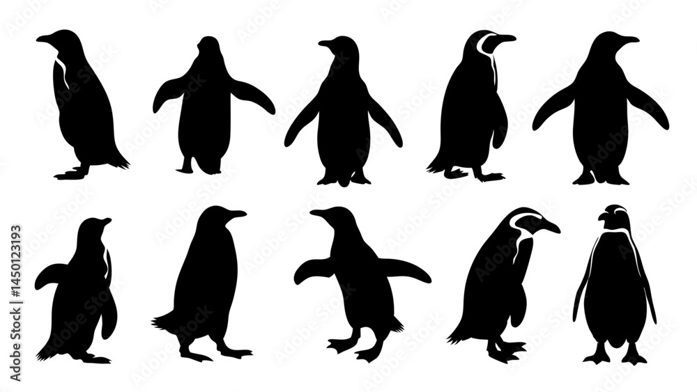 Fototapeta premium set of penguin silhouette vector on white background