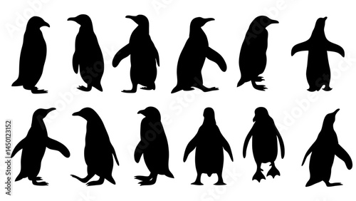 set of penguin silhouette vector on white background