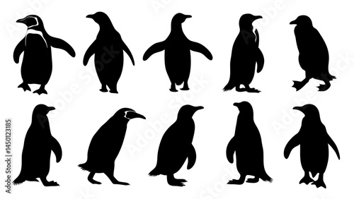 set of penguin silhouette vector on white background