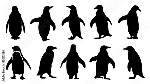 set of penguin silhouette vector on white background