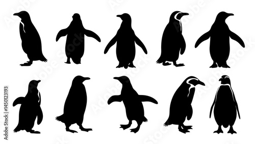 set of penguin silhouette vector on white background