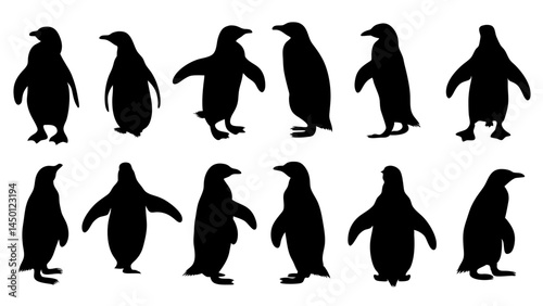 set of penguin silhouette vector on white background