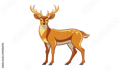 deer vector illustration