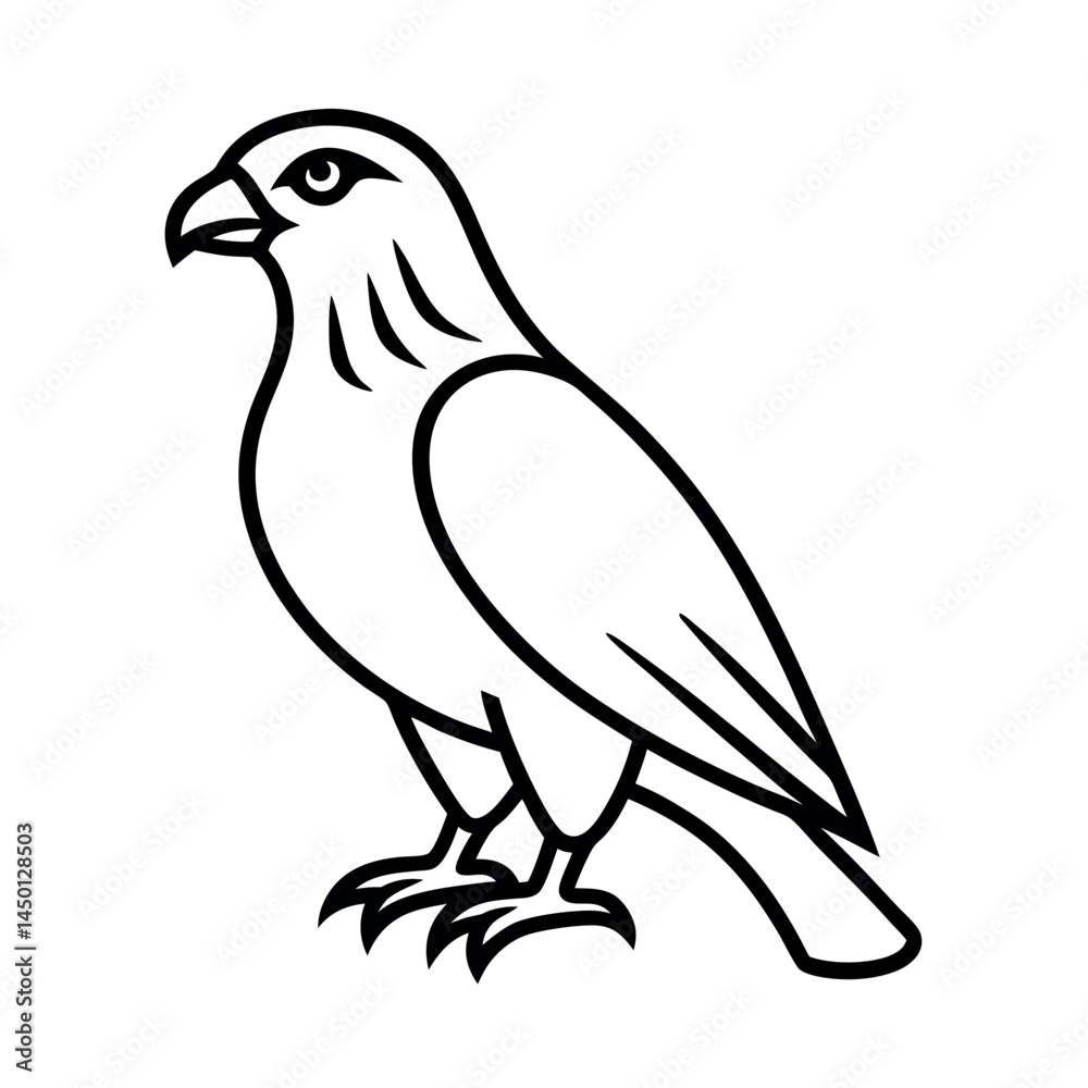 Obraz premium Red Tailed Hawk Line Art Vector