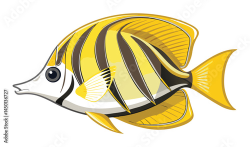 Striped butterflyfish illustration tropical fish