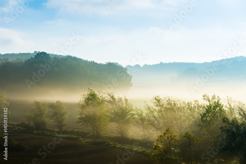 Beautiful morning fog covering the valley and trees in Collsuspina, Catalonia, Spain