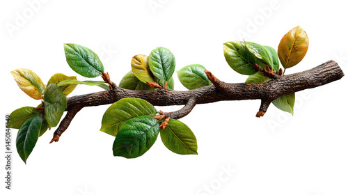 Wallpaper Mural Fresh Branch's Embrace: Close-up capture of a single branch with vibrant green leaves, showcasing the simple beauty of nature and the tender touch of life.  Torontodigital.ca