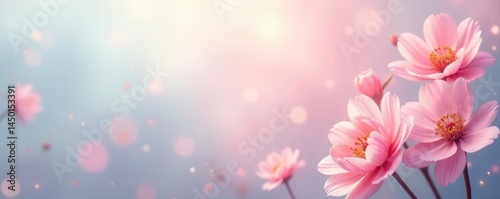 Pastel floral banner, soft focus, dreamy effect, spring, soft color flowers, soft pastel background