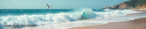 Rolling surf reaching sandy shore, seagull flying, seagull, landscape, vacation