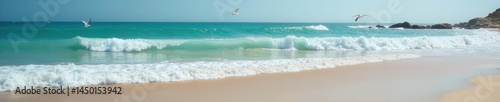 Rolling surf reaching sandy shore, seagull flying, sea, landscape