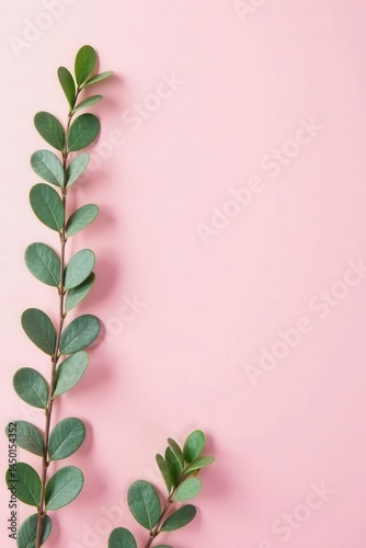 Scattered eucalyptus sprigs on pale pink, creating a natural, calming scene , grey-green, organic