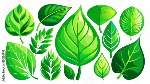 A curated set of vibrant green leaf vectors.
Each shape captures the elegance of natural growth.
Perfect for eco logos, organic packaging, and decor.
Designed in EPS 10 for clean and scalable use.