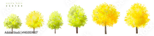 Vertor set of autumn tree,plants side view for landscape elevation and section,eco environment concept design,watercolor ginkgo tree illustration,colorfull
 season