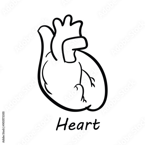Vector Icon for Heart: Human Heart Anatomy and Cardiovascular Health Illustration