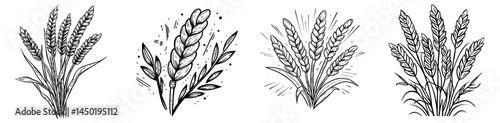 I typeset a letter element, an isolated autumn alphabet sign of ABC, Thanksgiving day ears of wheat, and a stick, in a modern font, a type of cereal grain