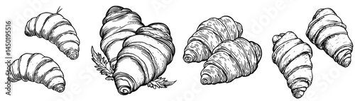 Isolated outline icon of conchiglie pasta, shaped like shells or seashells, including miniature conchigliette, a type of italian cuisine food