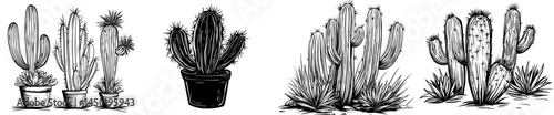 A minimalist representation of desert flora is depicted through the black silhouette of a cactus adorned with spines