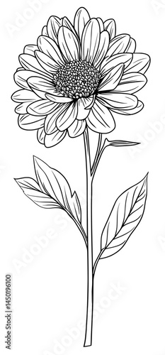 In black and white, the detailed silhouette of a dahlia flower stands out, complete with its complex petals and long stem