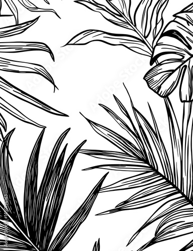 The tropical design of a monochrome palm leaves silhouette frame makes it a great choice for backgrounds with a nature theme