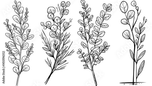A branch with leaves is showcased in a decorative silhouette featuring a natural botanical design