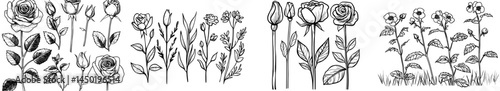 Three beautiful black rose silhouettes exemplify elegance and poise, fitting for numerous design applications