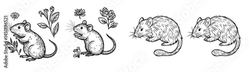 A dark outline of a mouse highlighting its distinctive characteristics, including ears and a tail