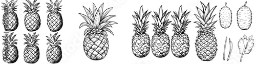 A modern sketch of pineapple, a tropical fruit, is shown isolated, often used in vegetarian desserts and featuring green leaves, also known as ananas