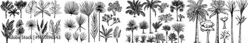 A compilation of palm tree outlines perfectly suited for tropical and beach-themed designs