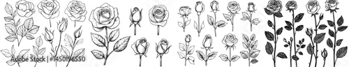 A compilation of dark shapes showcasing an assortment of roses and foliage for design purposes