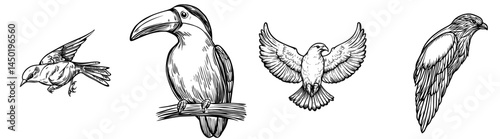 A simple black outline of a bird featuring stylized plumage and an adorable face