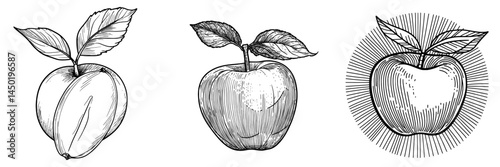 A fresh apple accompanied by a leaf is depicted as an isolated example of vegetarian healthy food in a sketch, symbolizing a modern and juicy red fruit that serves as a healthy dessert