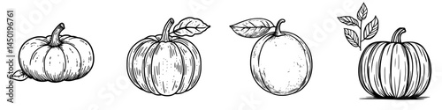 A solitary pumpkin with its stem, representing a type of vegetarian food, is a modern emblem of autumn and a prominent Halloween symbol