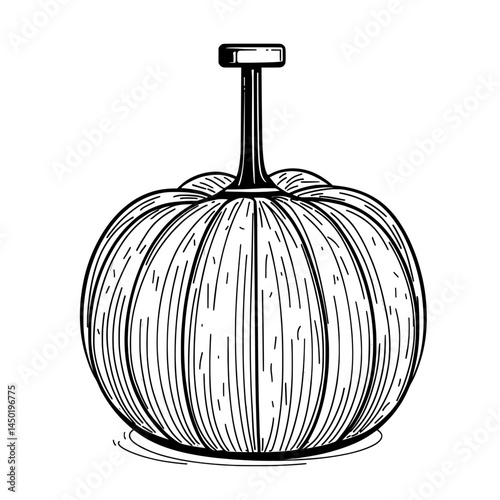 Isolated for display, the orange pumpkin with stem is a vibrant example of a fresh organic vegetable, specifically a type of natural squash or gourd in modern food