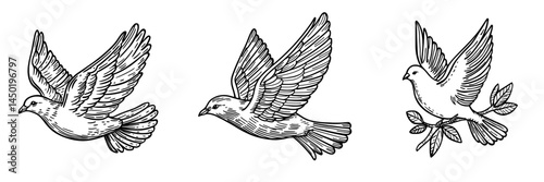A modern flying pigeon silhouette with outstretched wings represents the dove, a symbol of peace and hope, as an isolated bird
