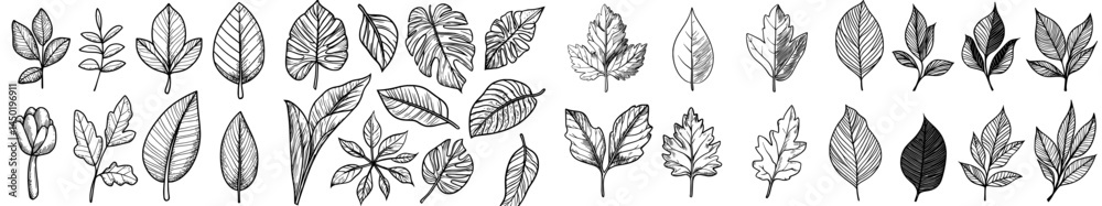 Create illustrations of autumn leaves by hand, including fall foliage and forest leaf botanical elements for use in seasonal advertisements, invitations, or textiles as part of a modern set, with an Create illustrations of autumn leaves by hand, including fall foliage and forest leaf botanical elements for use in seasonal advertisements, invitations, or textiles as part of a modern set, with an