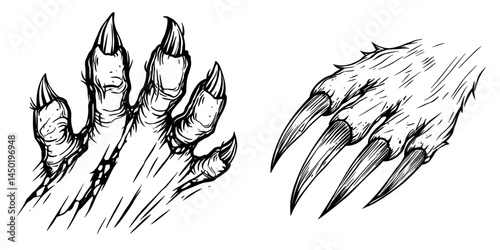 Wild animal scratches are characterized by claws, as seen in modern tigers, bears, or large cats with torn and slashing marks