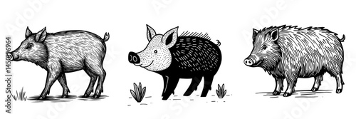 A wild boar is represented by an isolated icon as a predatory mammal and zoo animal, also known as a hunt trophy or aper hog