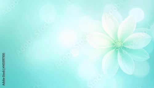 Delicate flower blossom nature scene soft focus background tranquil environment serene viewpoint floral concept for relaxation