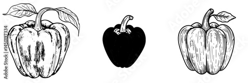 The modern vegetable, either a red bell pepper or paprika, represents a natural and healthy food option, often depicted as a cartoon design element for Bulgarian peppers, emphasizing organic veggies